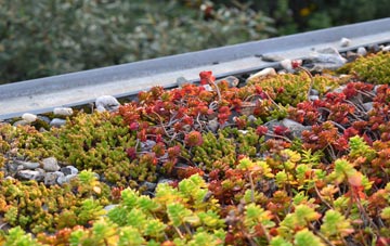 the cost of Oldfield Brow green roof installation