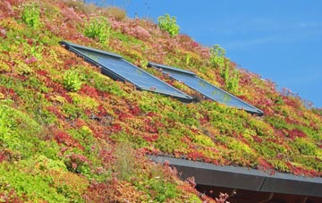 Oldfield Brow living roof systems
