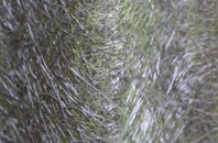 Oldfield Brow fibreglass roof work